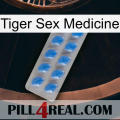 Tiger Sex Medicine 22